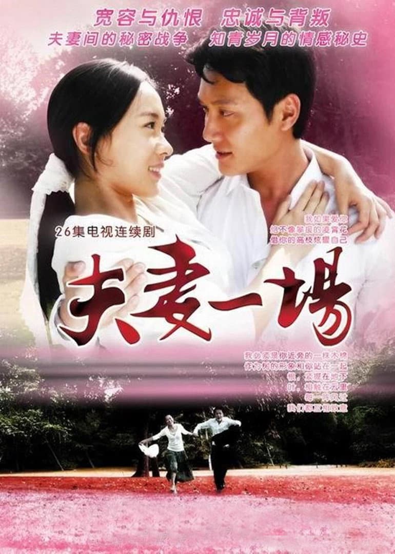 Poster di 夫妻一场