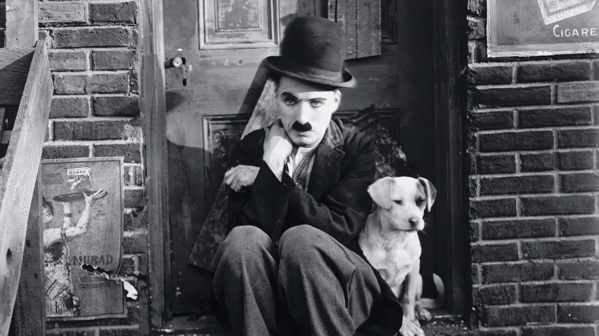 Vita da cani - immagine