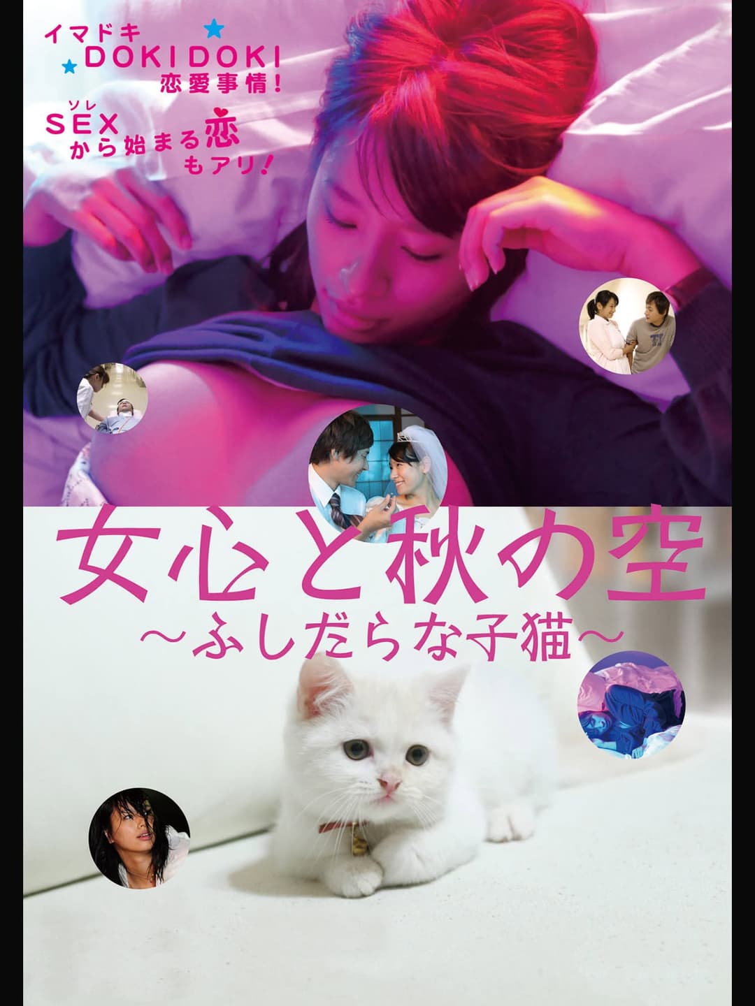 Poster di 女心と秋の空 ふしだらな子猫