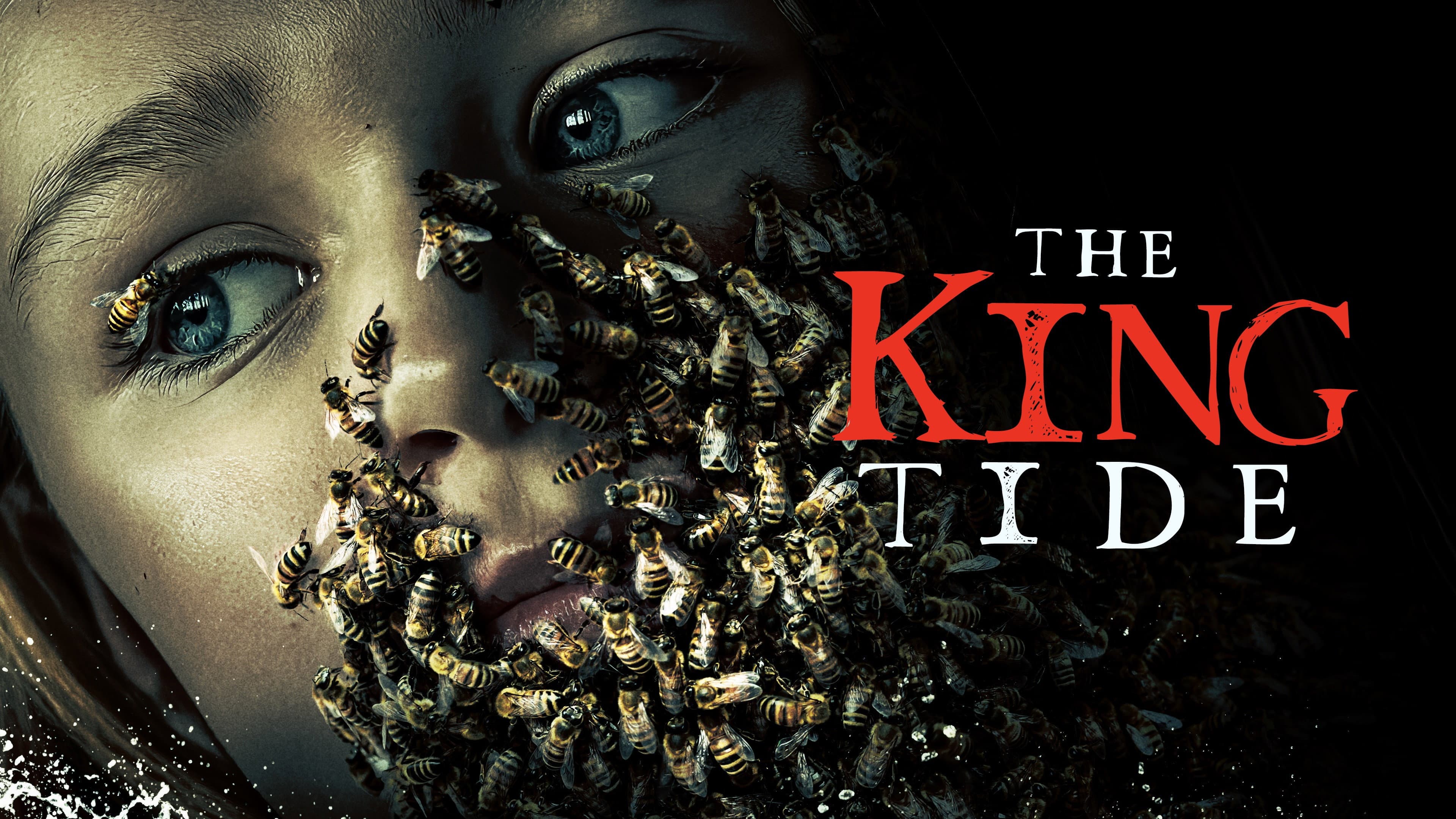 The King Tide - immagine