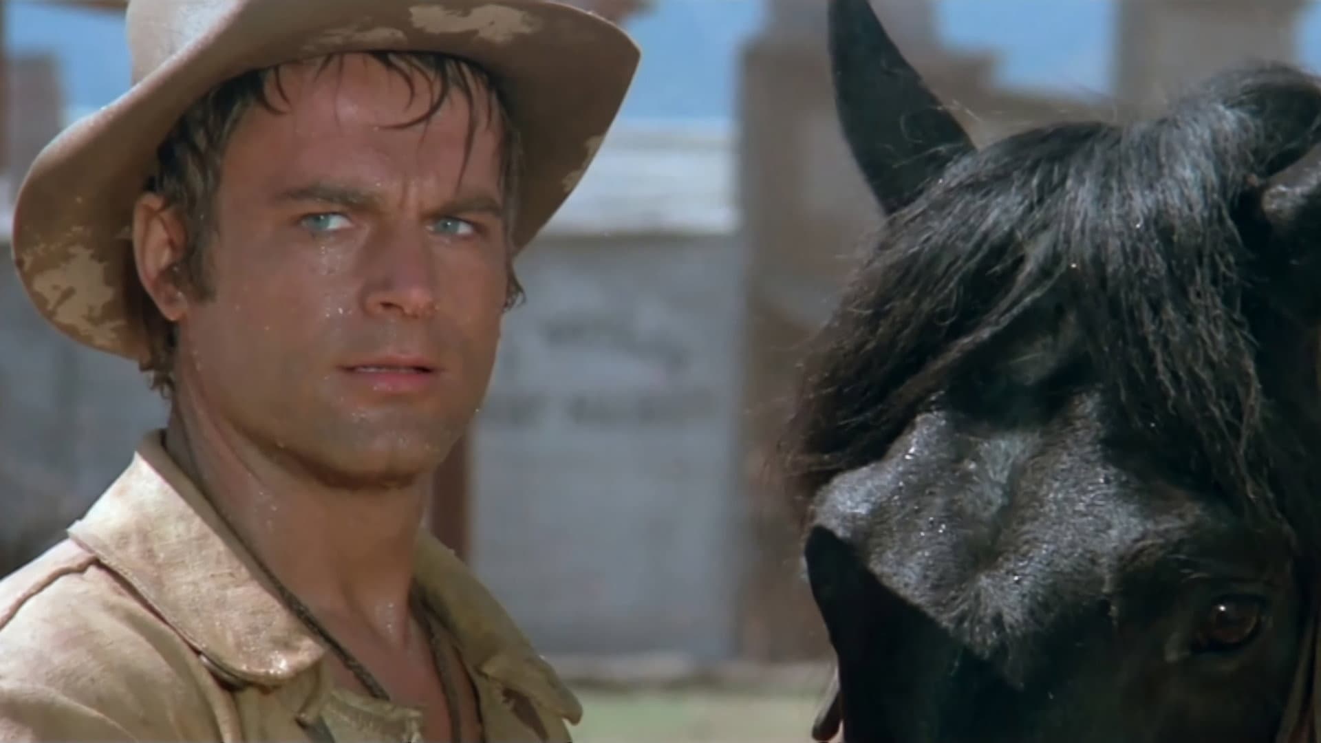 Un genio, due compari, un pollo - immagine