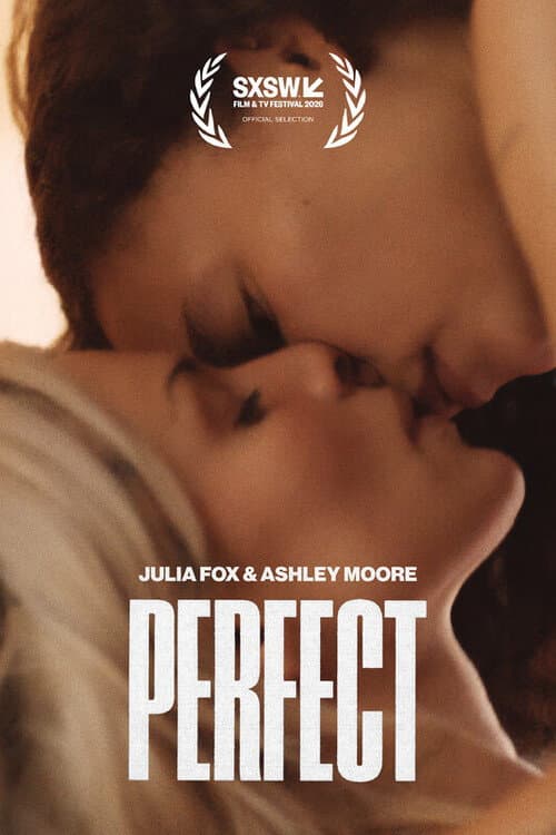 Poster di Perfect