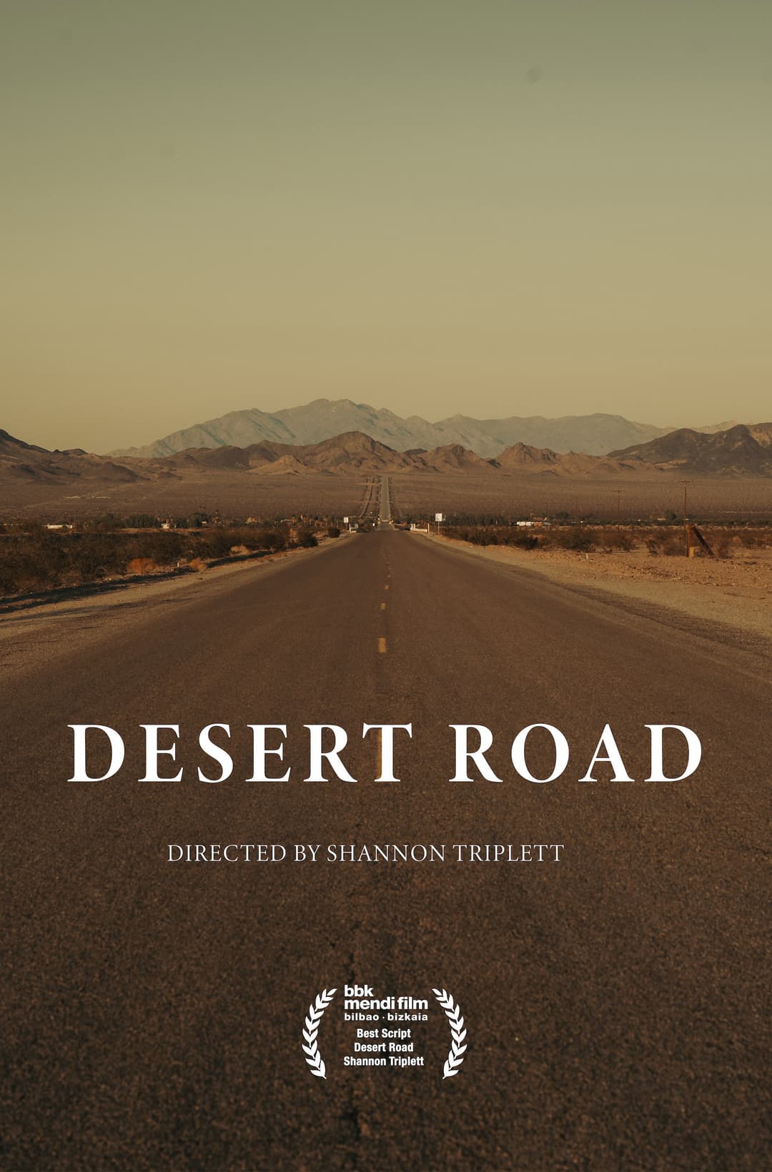 Poster di Desert Road