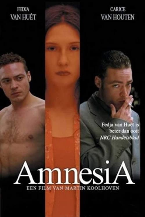 Poster di AmnesiA
