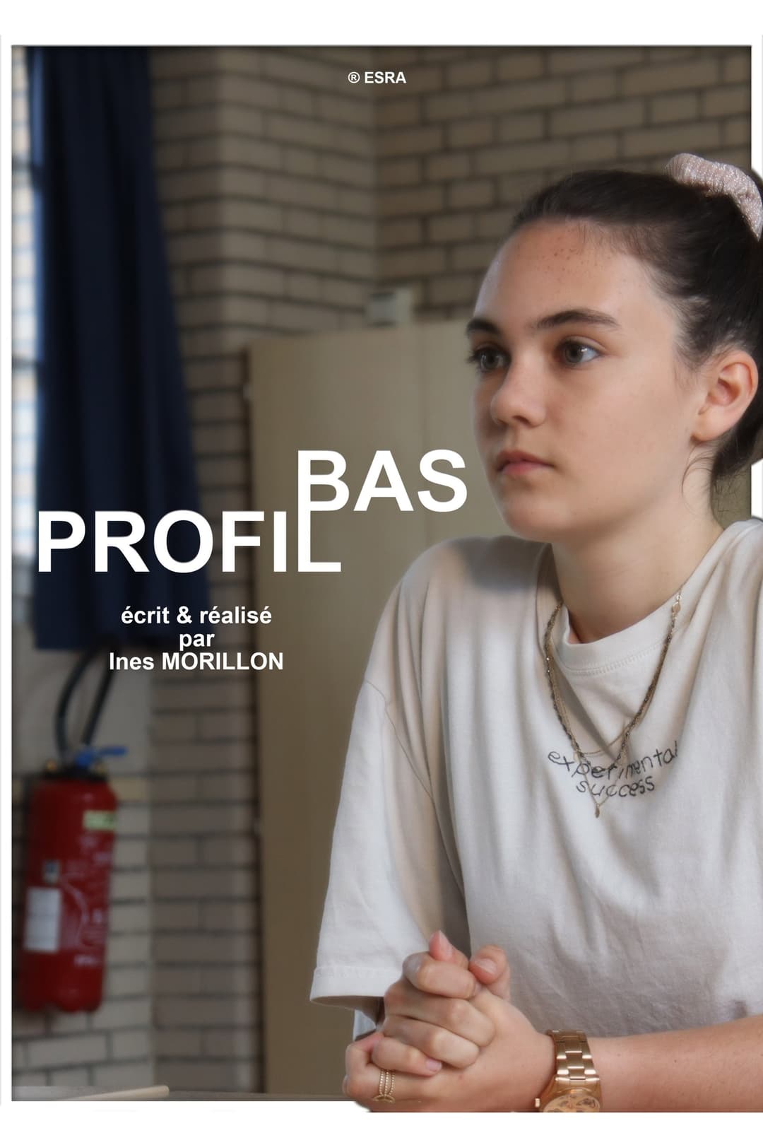 Poster di Profil Bas