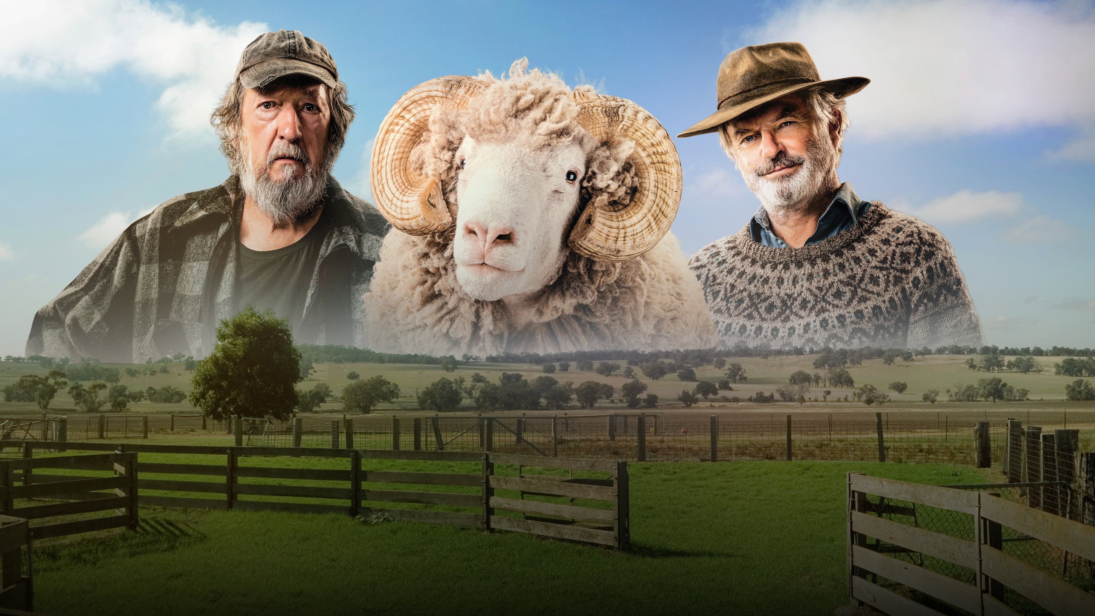 Rams - immagine