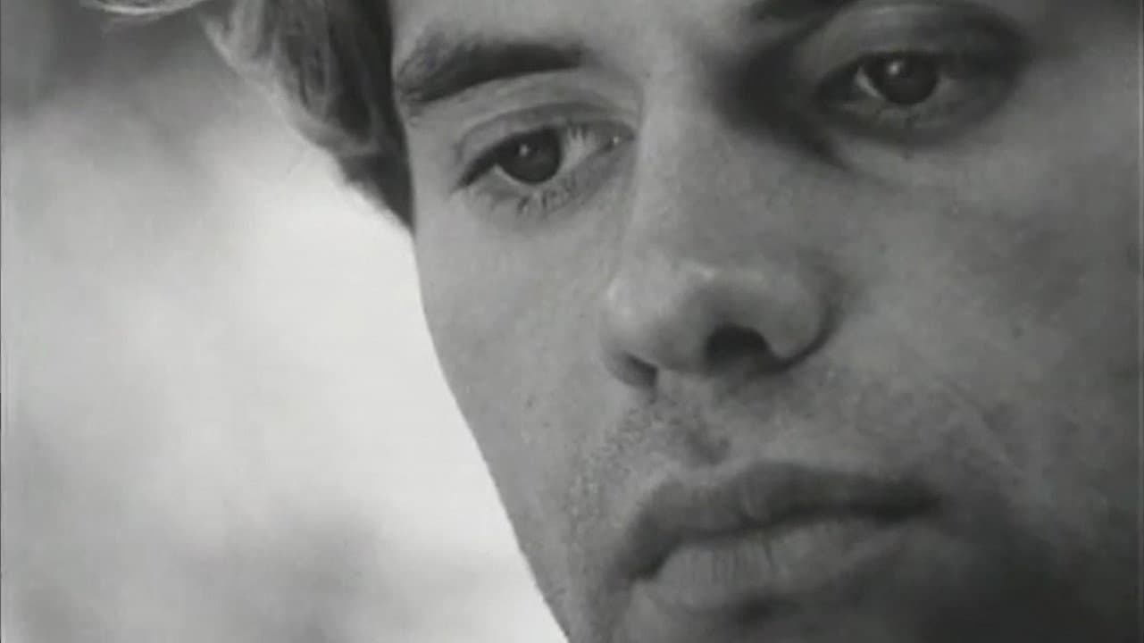Close Up - immagine