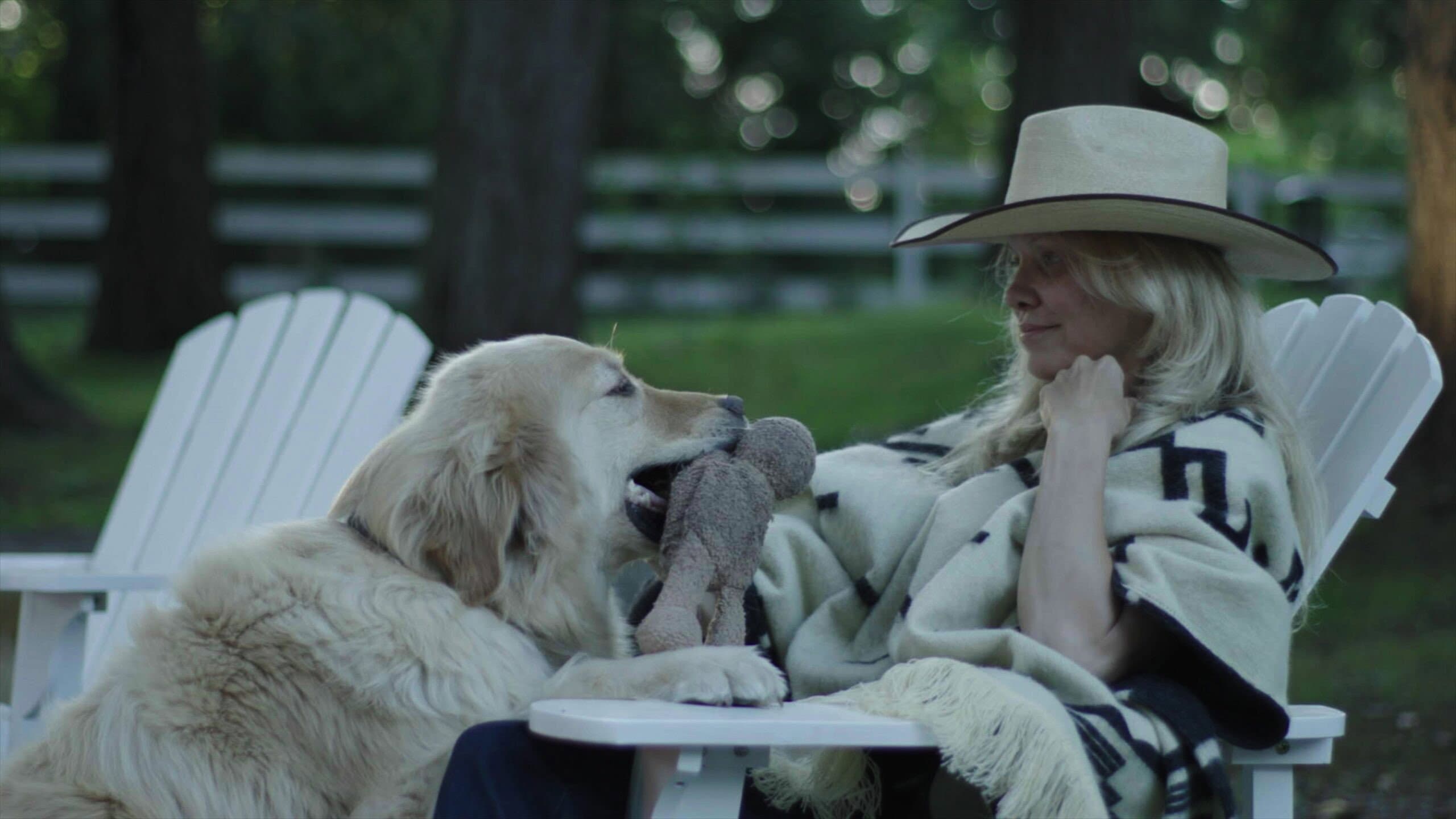 Pamela, A Love Story - immagine
