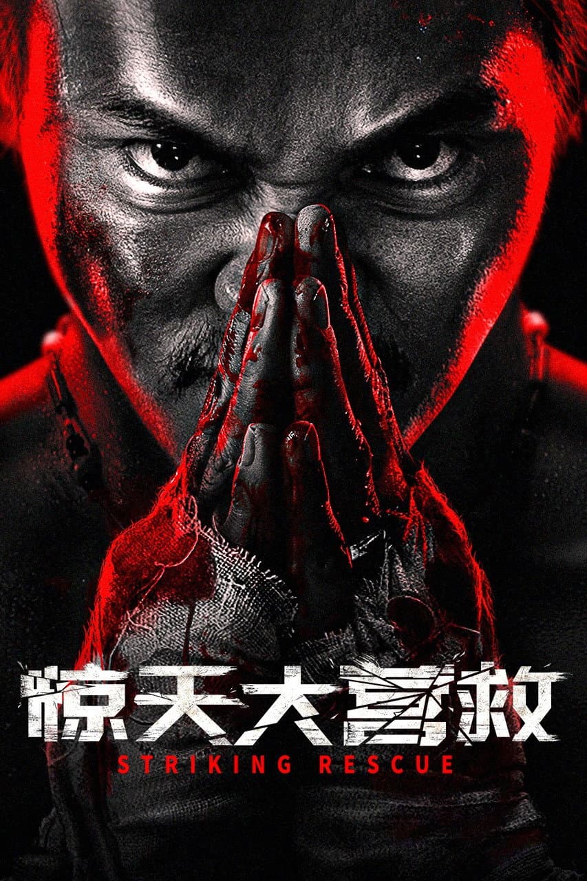 Poster di Striking Rescue