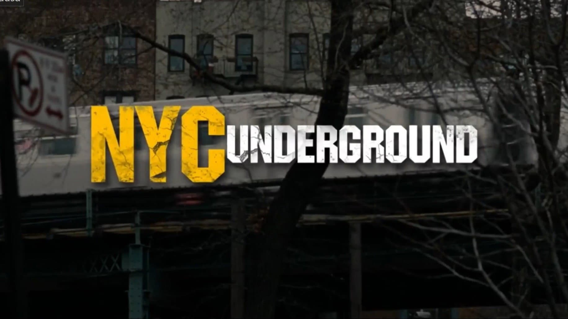 N.Y.C. Underground - immagine