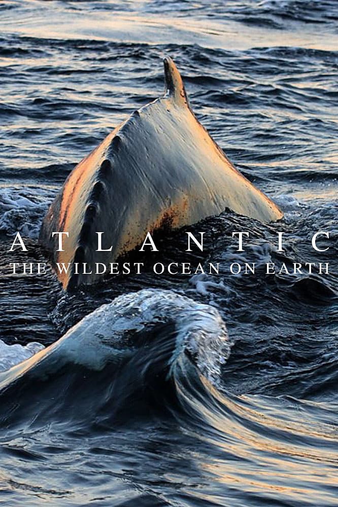 Poster di Atlantic: The Wildest Ocean on Earth