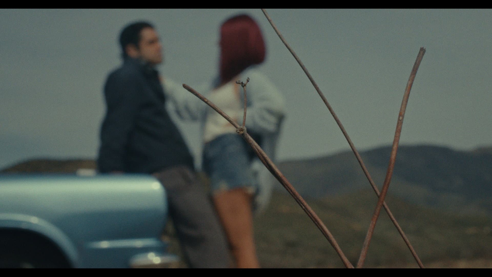 Halcyon - immagine
