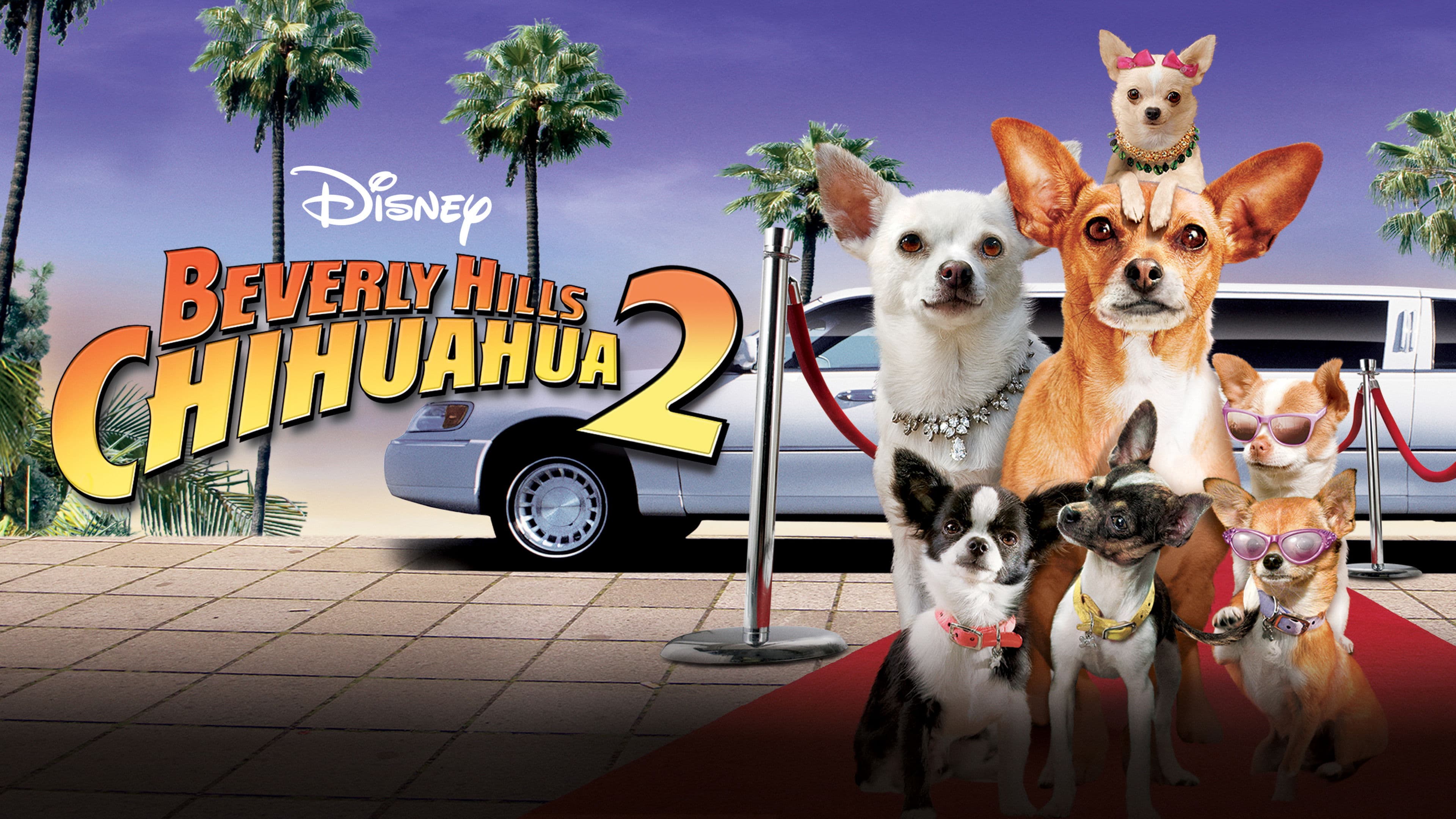 Beverly Hills Chihuahua 2 - immagine