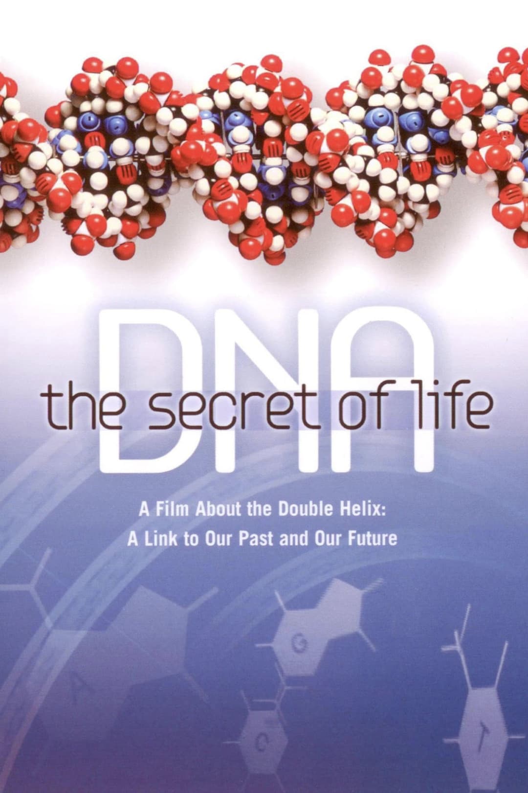 Poster di DNA