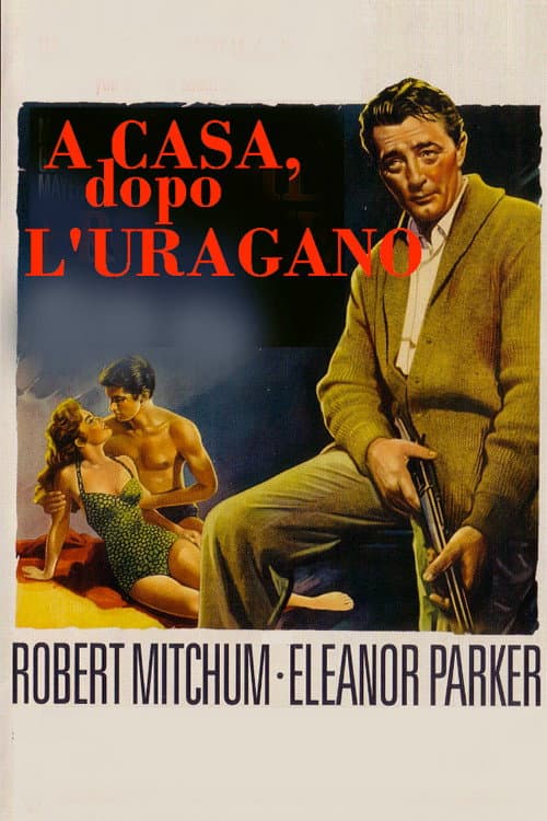 Poster di A casa dopo l'uragano