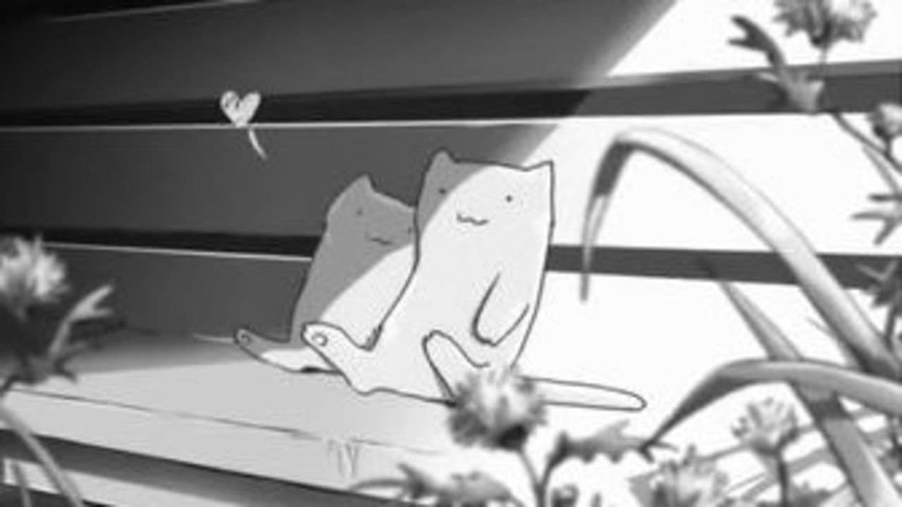 Lei e il suo gatto - immagine