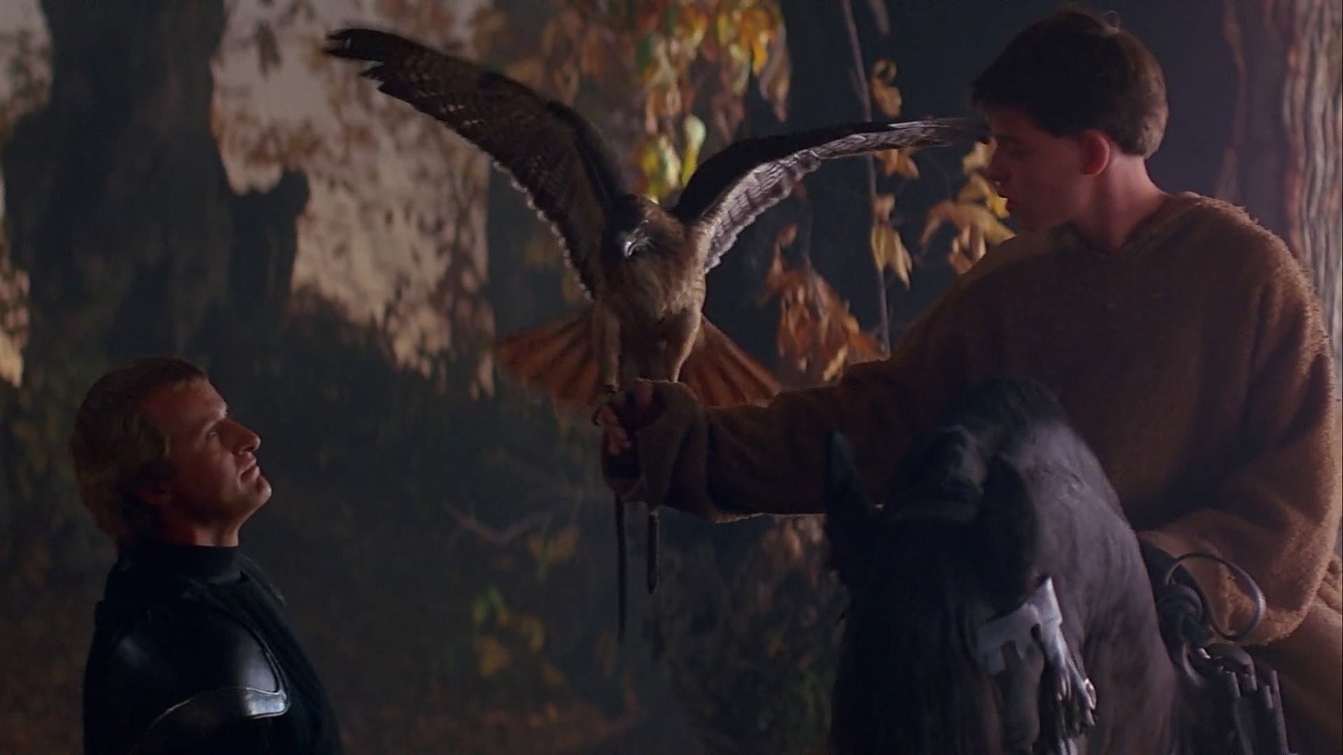 Ladyhawke - immagine