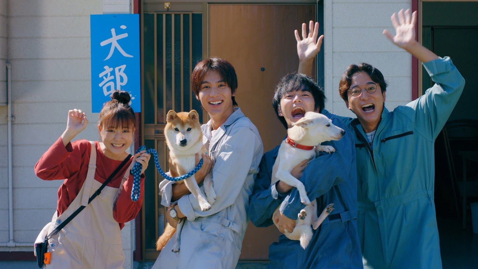 犬部！ - immagine