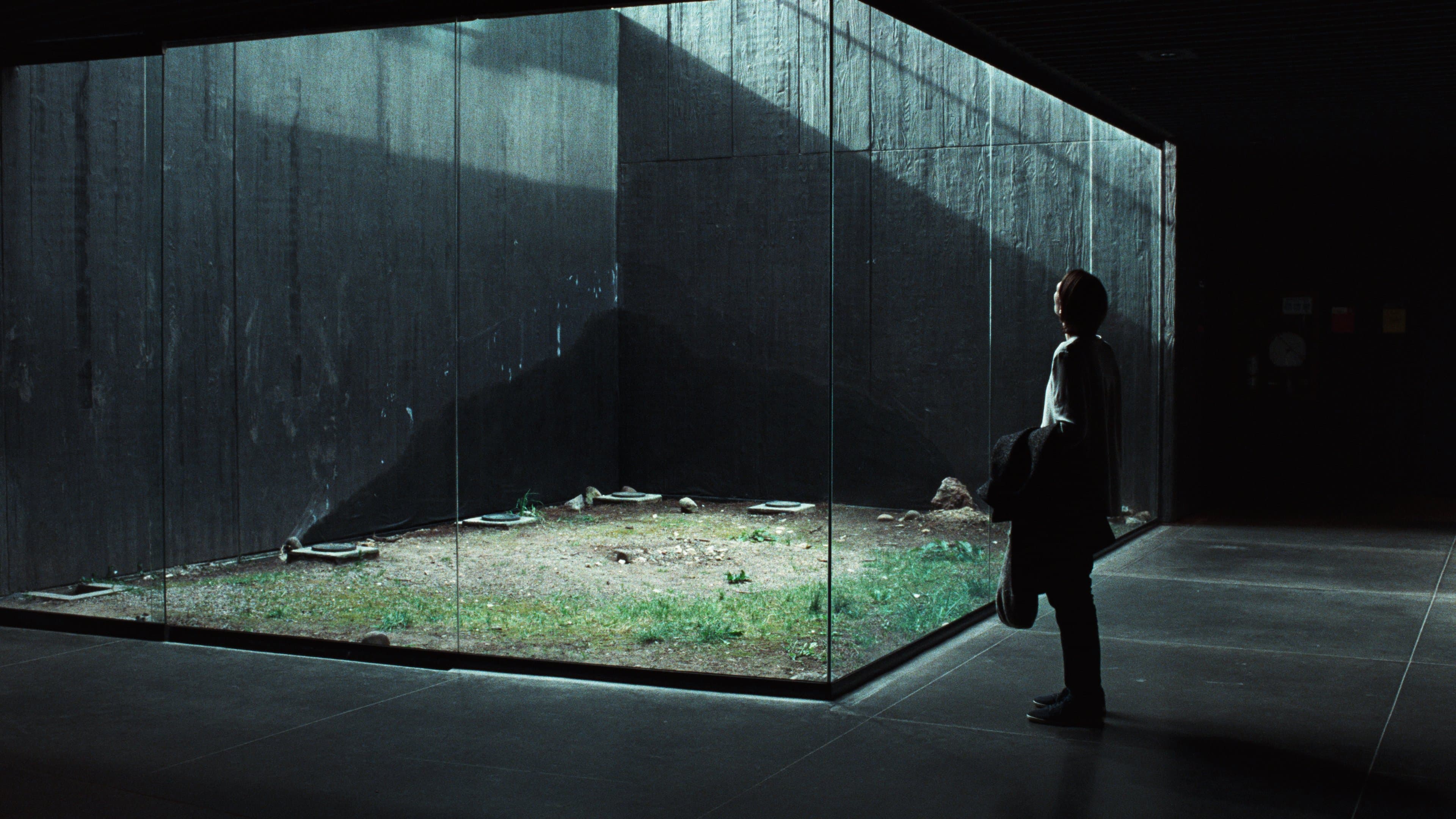Memoria - immagine