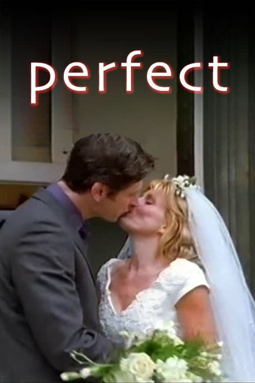 Poster di Perfect