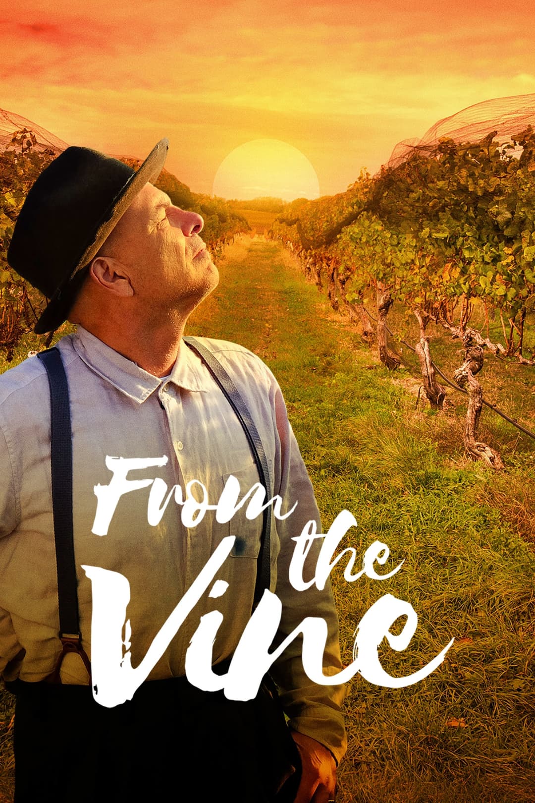 Poster di From the Vine