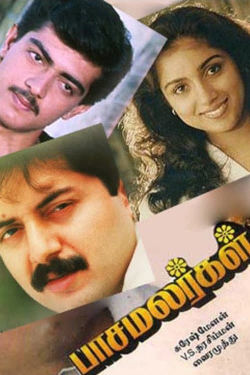 Poster di பாச மலர்கள்