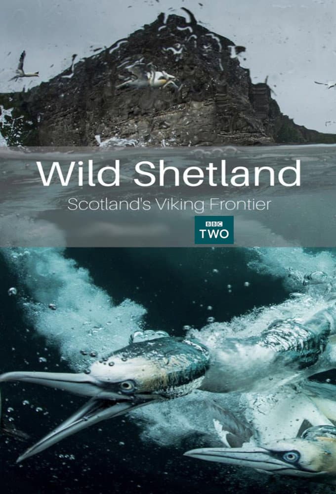 Poster di Wild Shetland: Scotland's Viking Frontier
