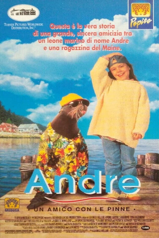 Poster di Andre - Un amico con le pinne