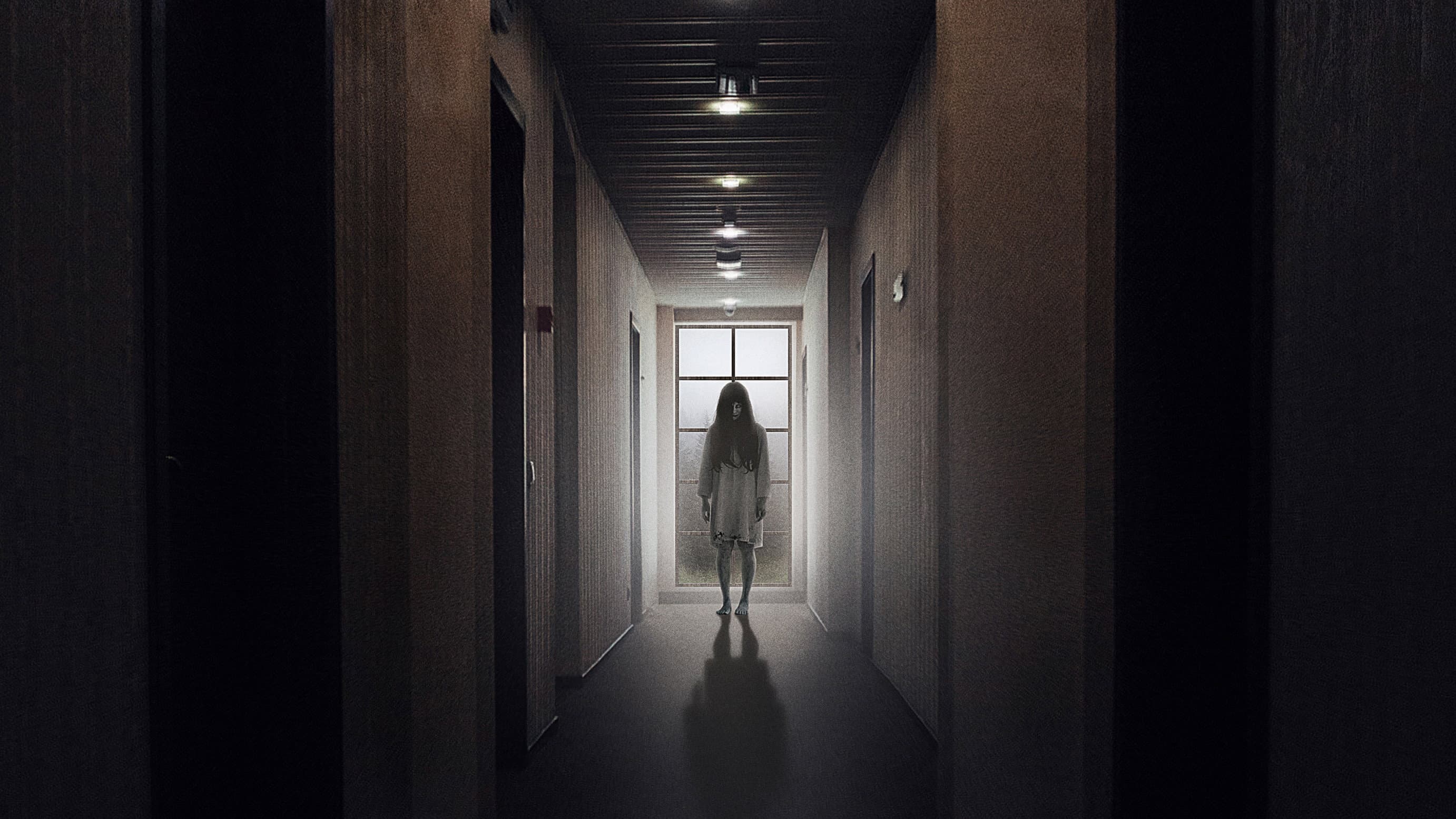 Apparition - immagine