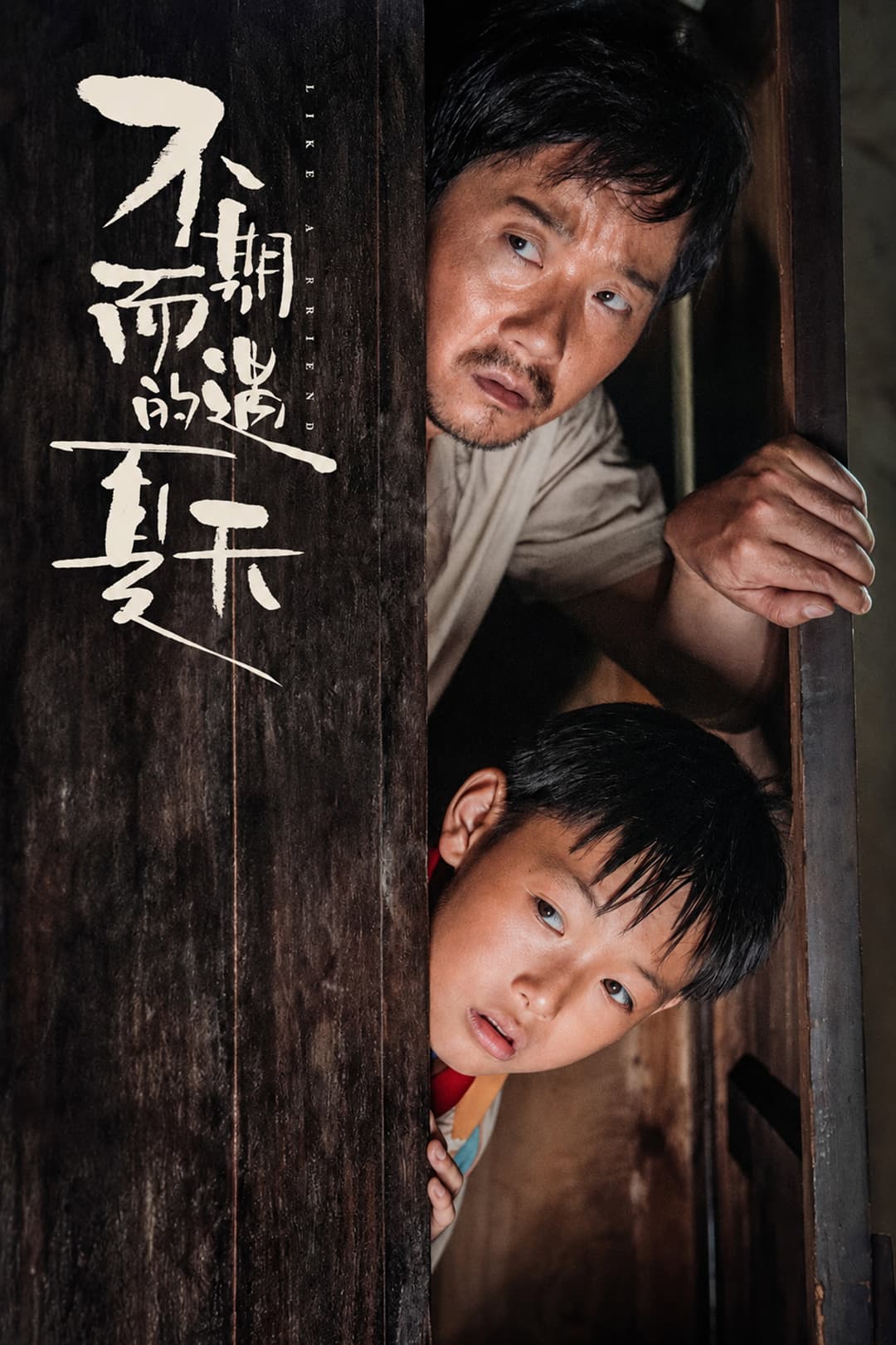 Poster di 不期而遇的夏天
