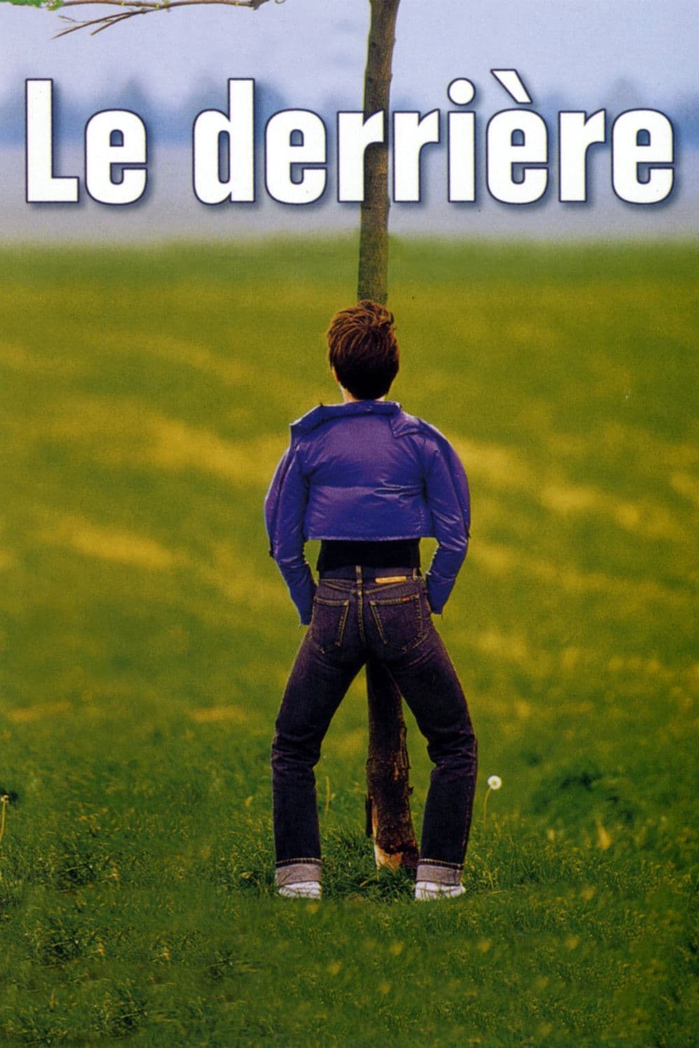 Poster di Le derrière