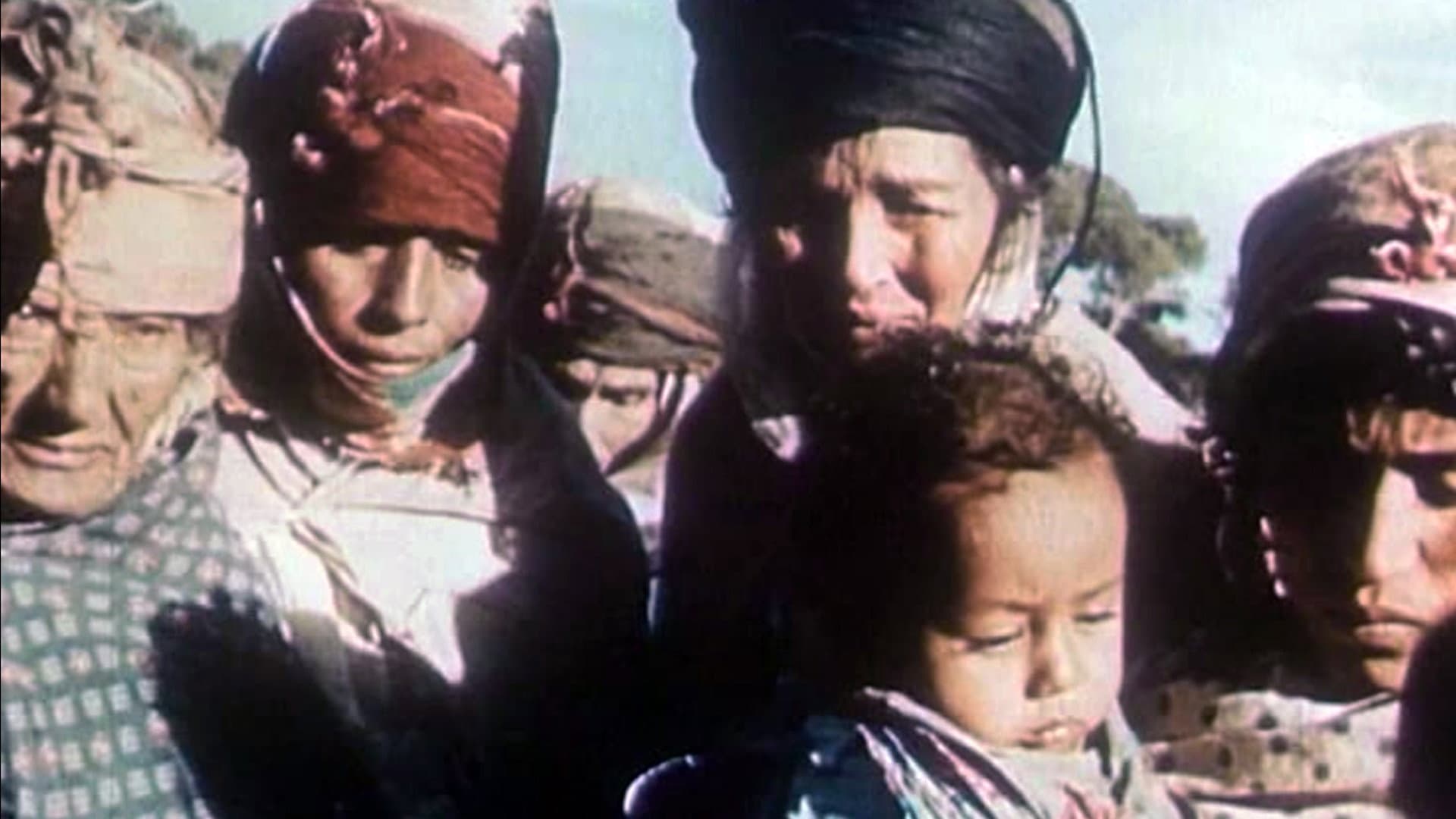 Algérie en flammes - immagine