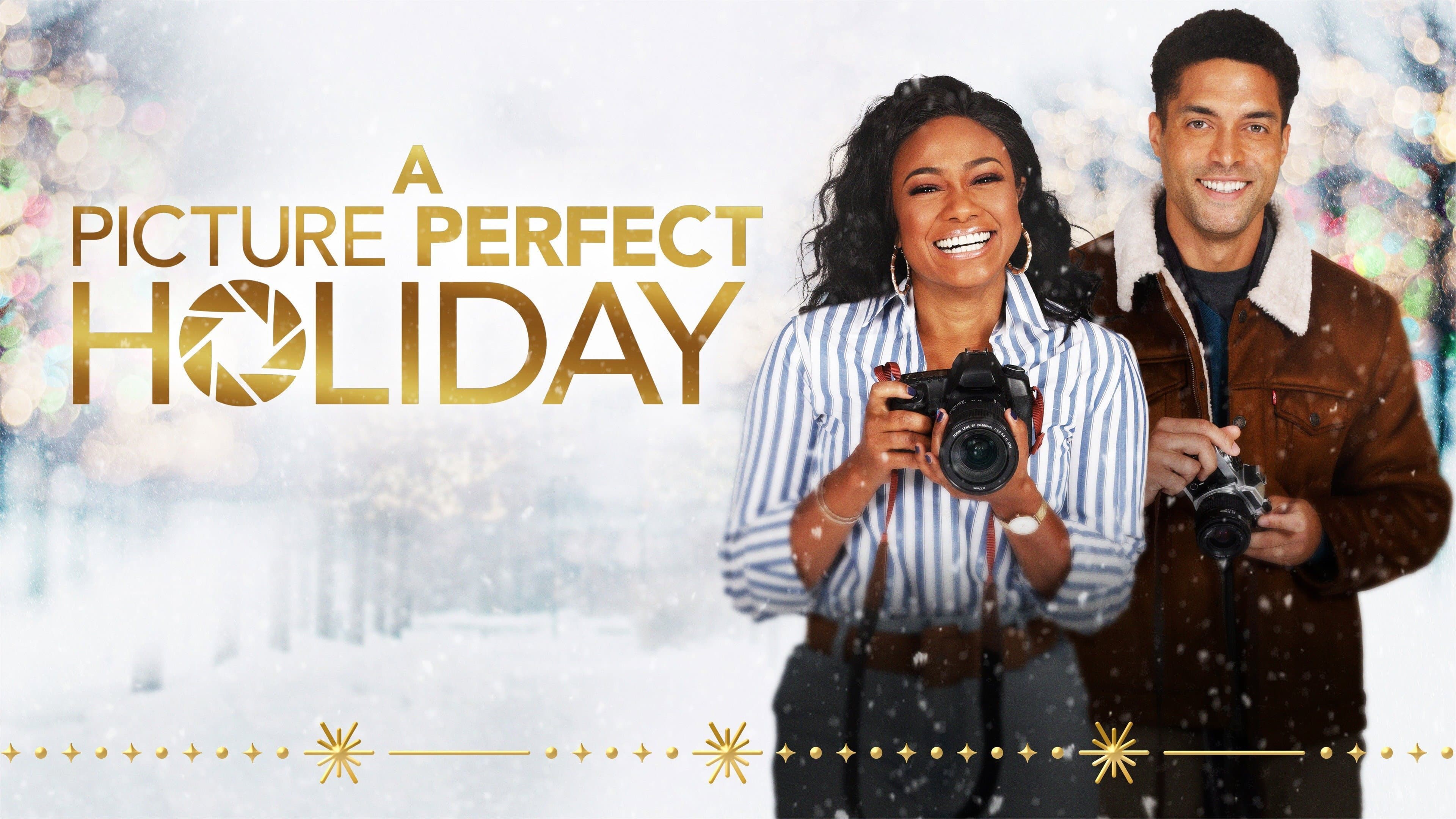 A Picture Perfect Holiday - immagine
