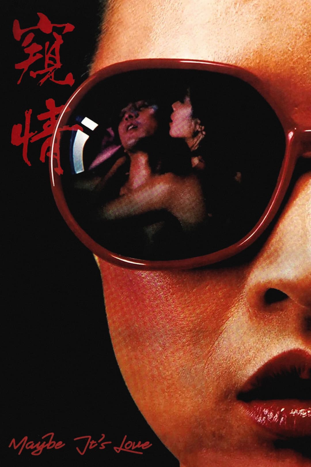 Poster di 窺情