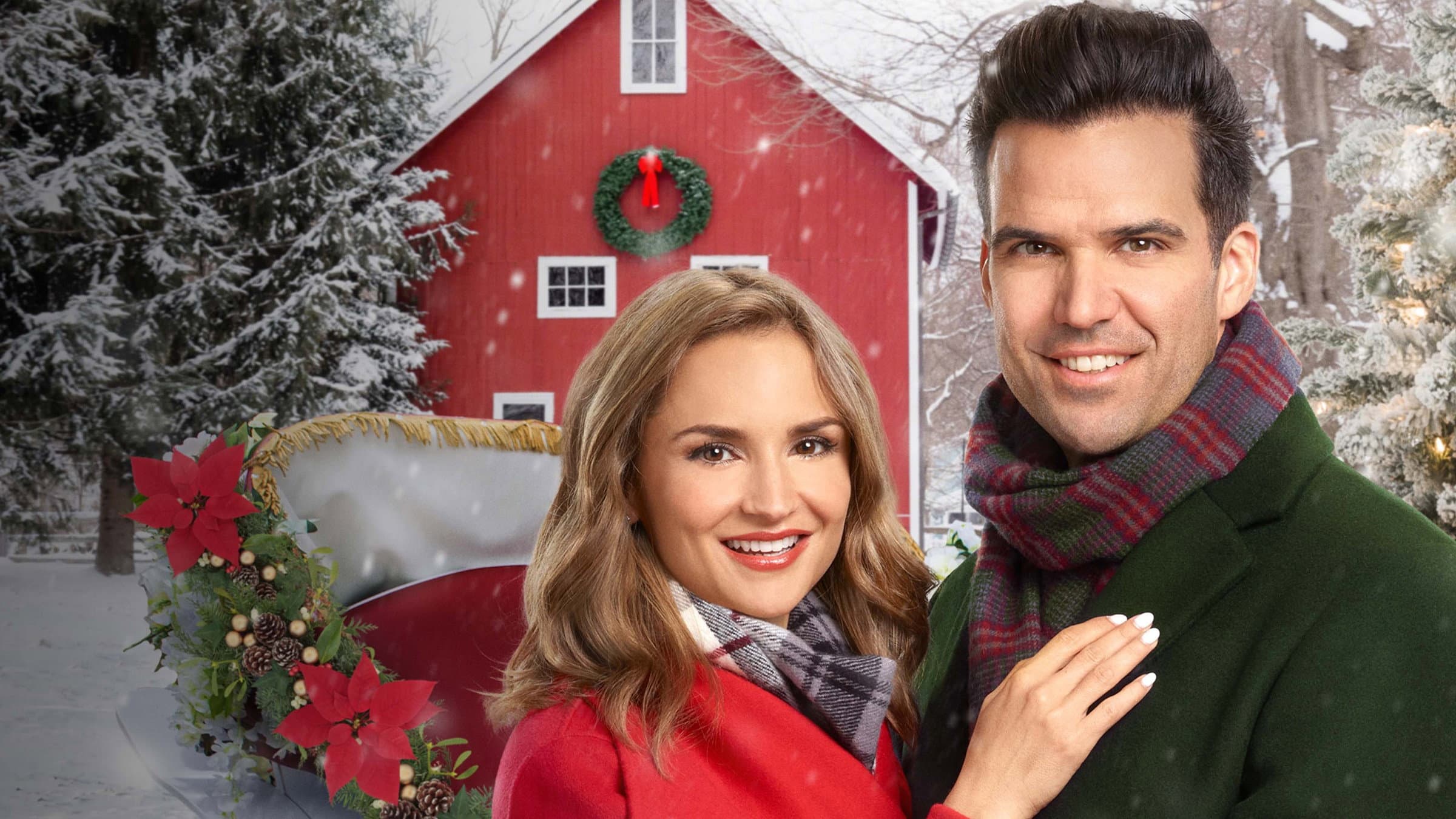 Natale tra i monti Blue Ridge - immagine