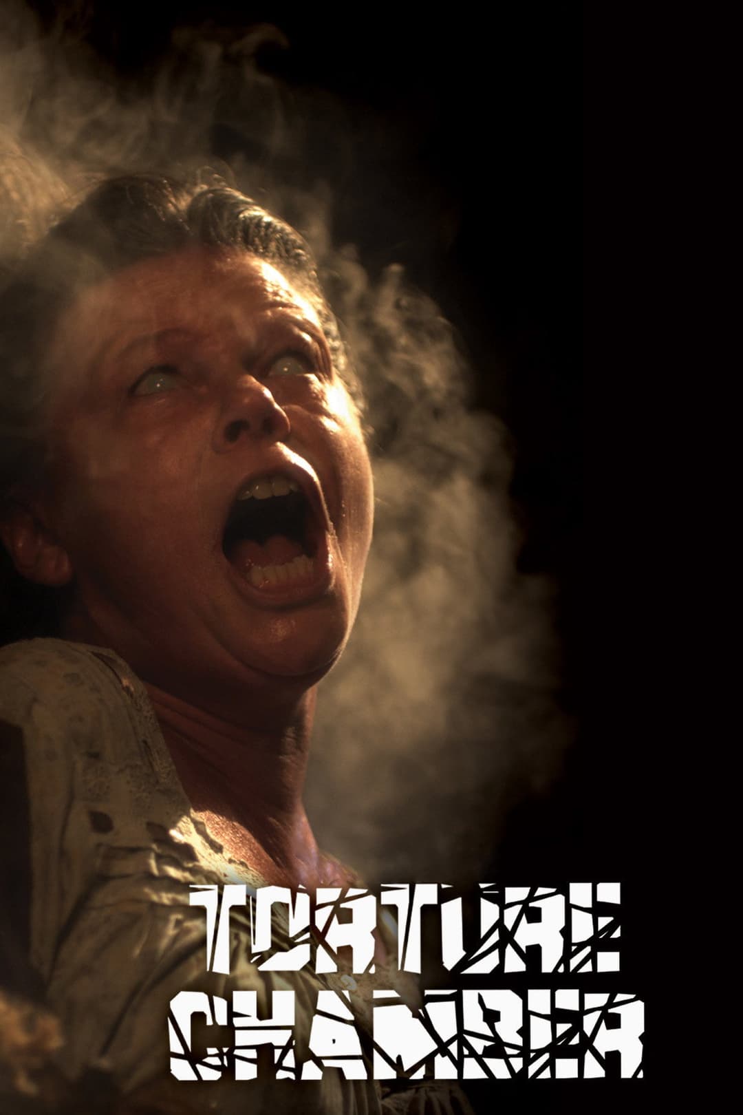 Poster di Torture Chamber