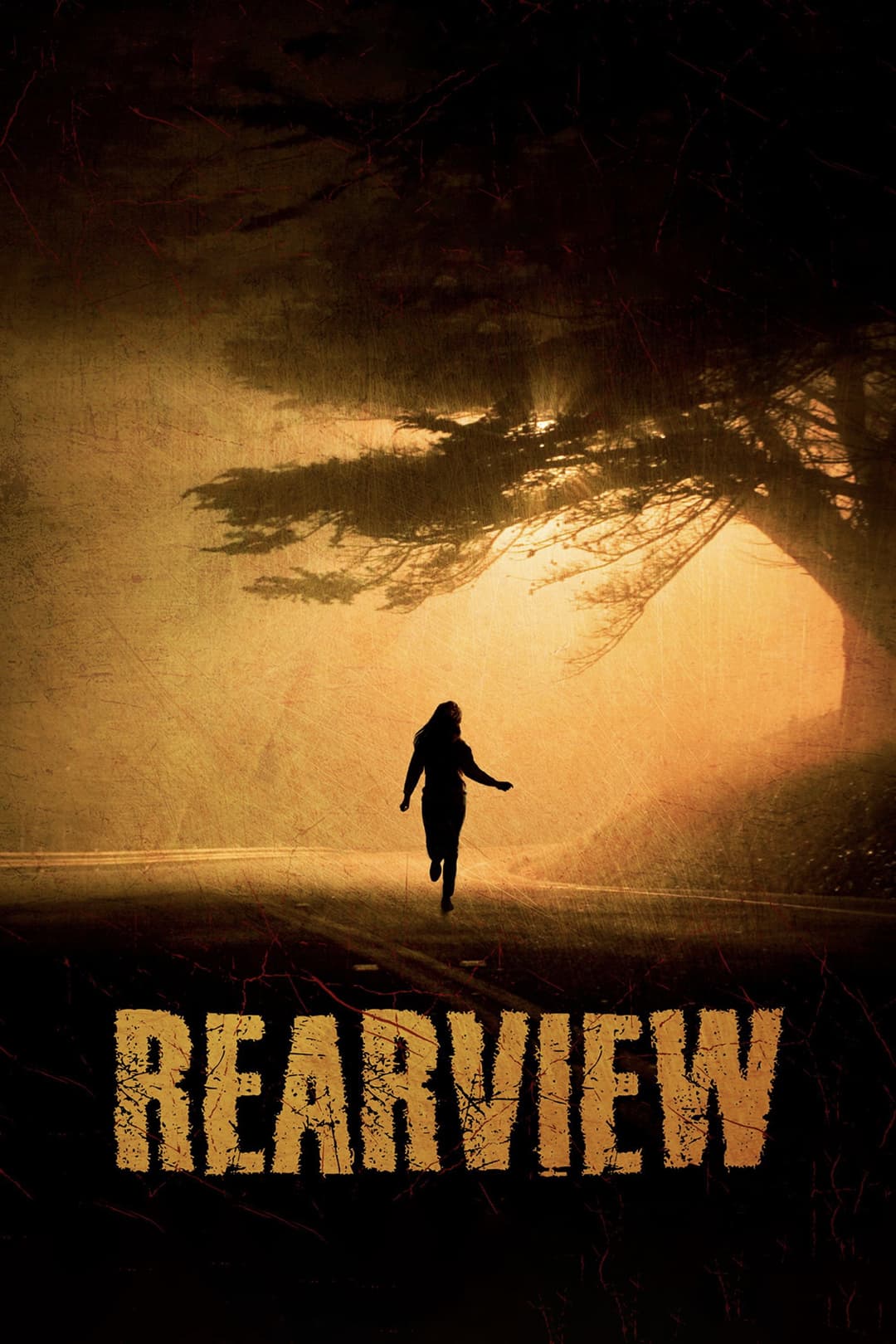 Poster di Rearview