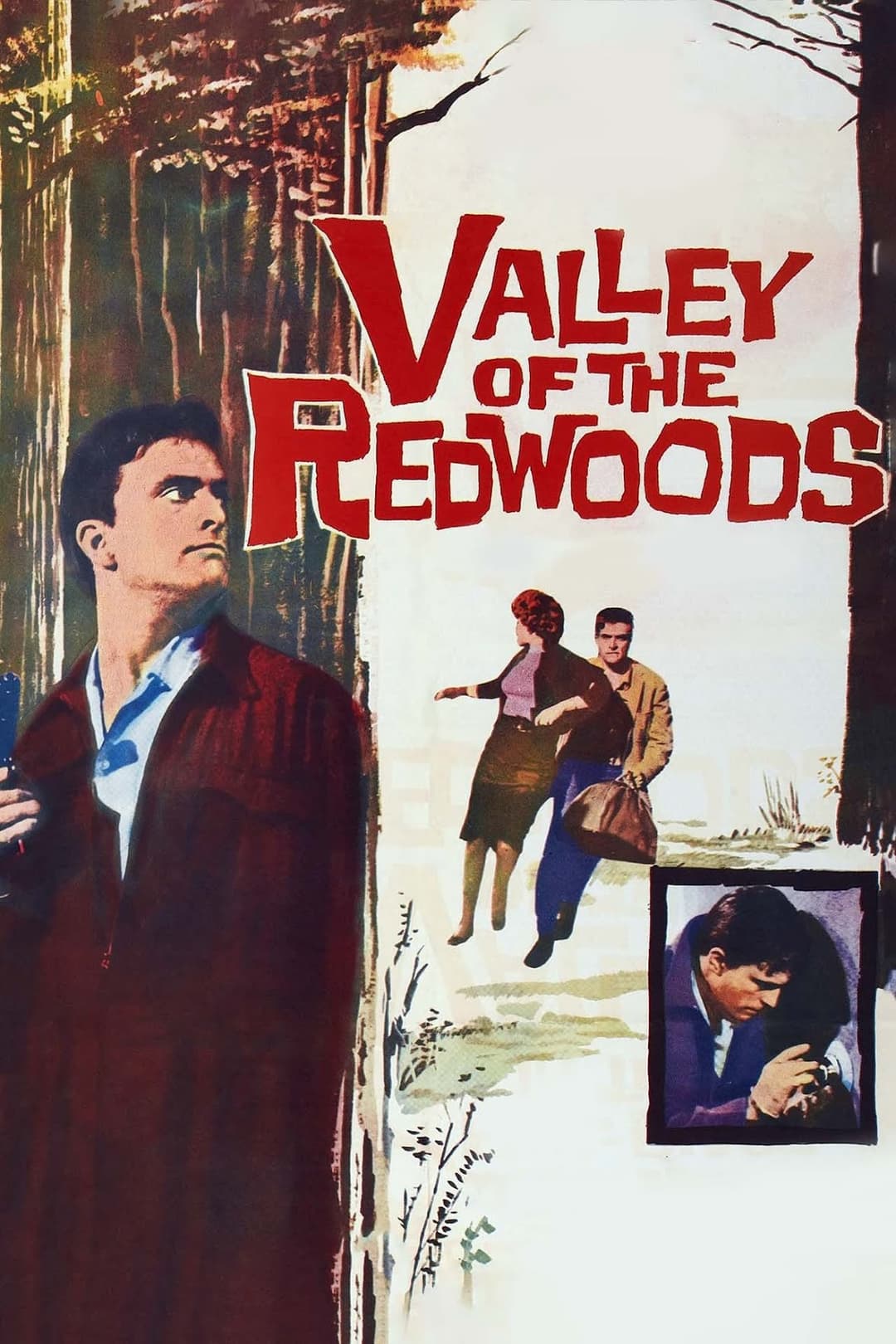 Poster di Valley of the Redwoods