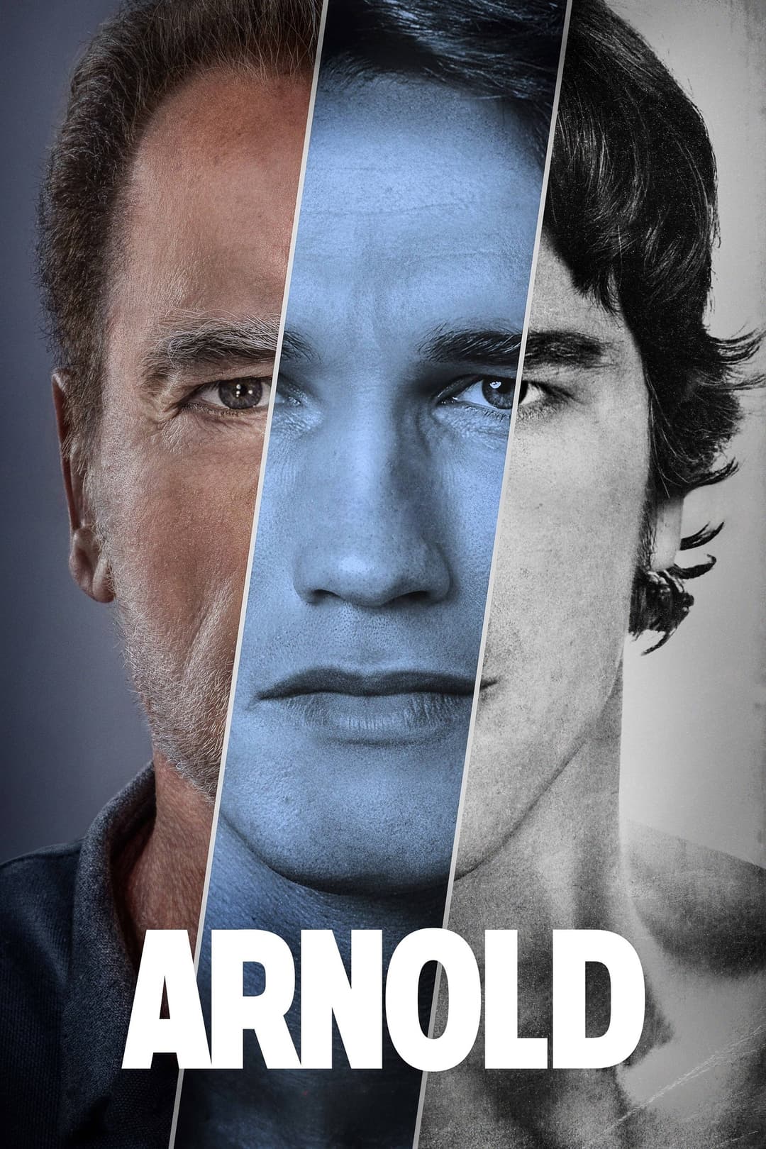 Poster di Arnold