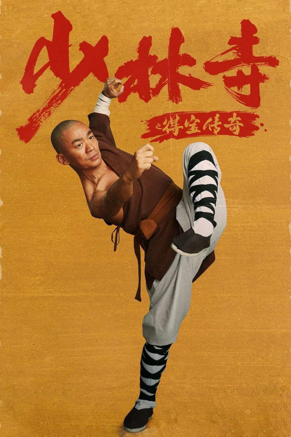 Poster di 少林寺之得宝传奇