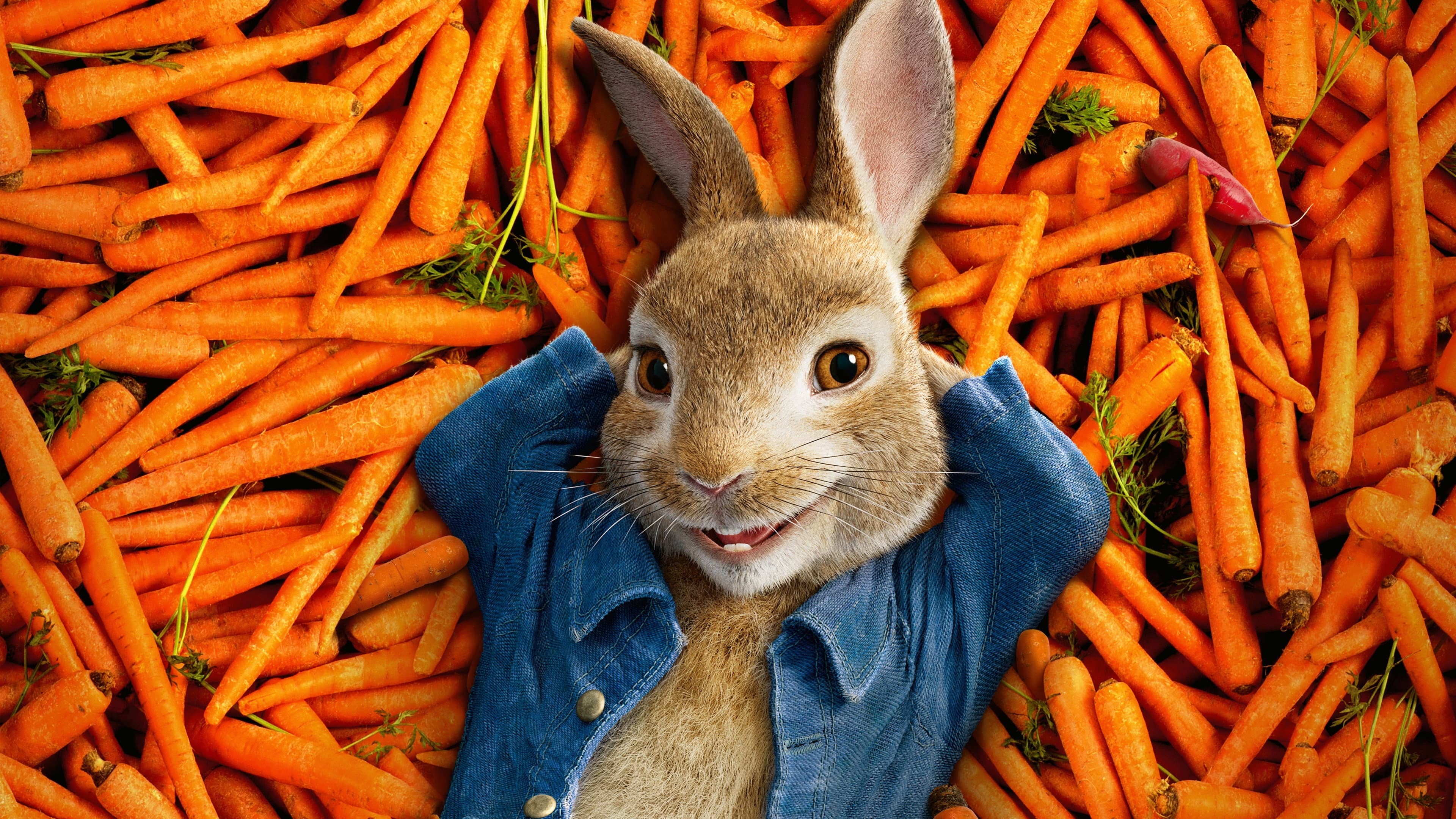 Peter Rabbit - immagine