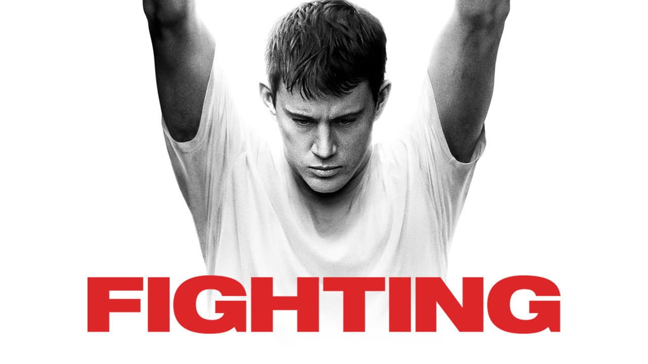 Fighting - immagine