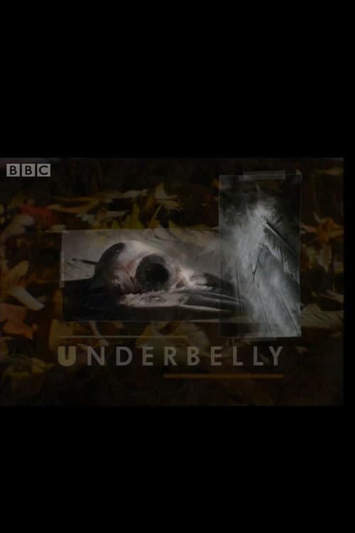 Poster di Underbelly