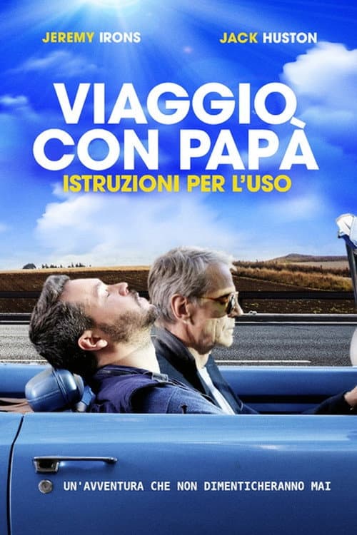 Poster di Viaggio con papà - Istruzioni per l'uso