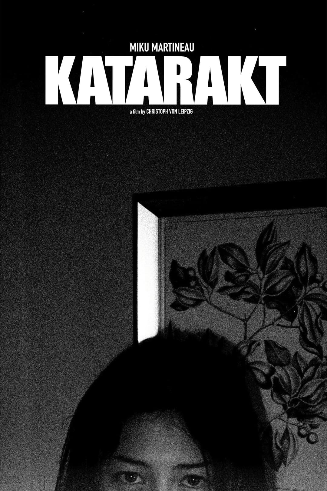 Poster di Katarakt