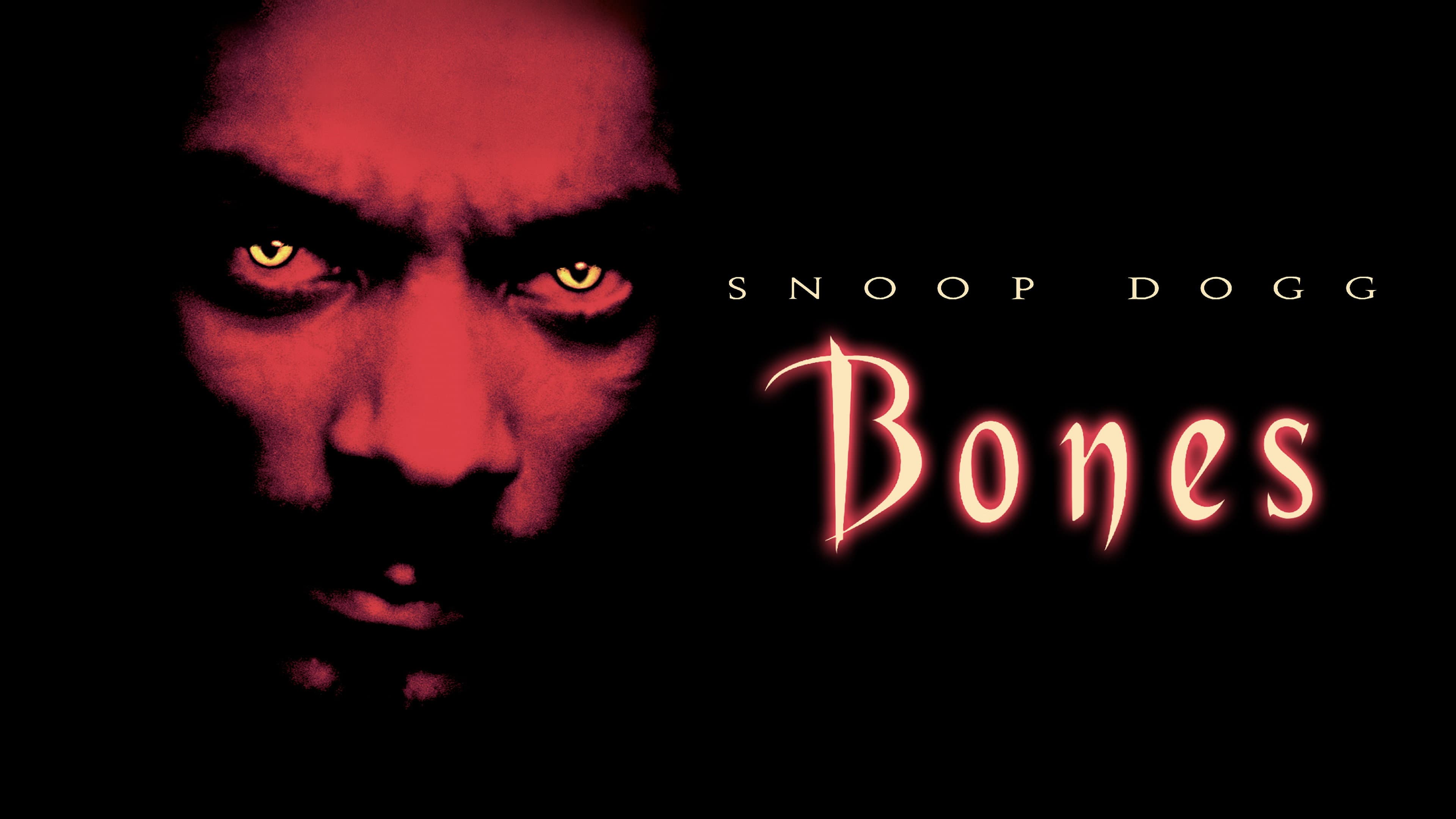 Bones - immagine