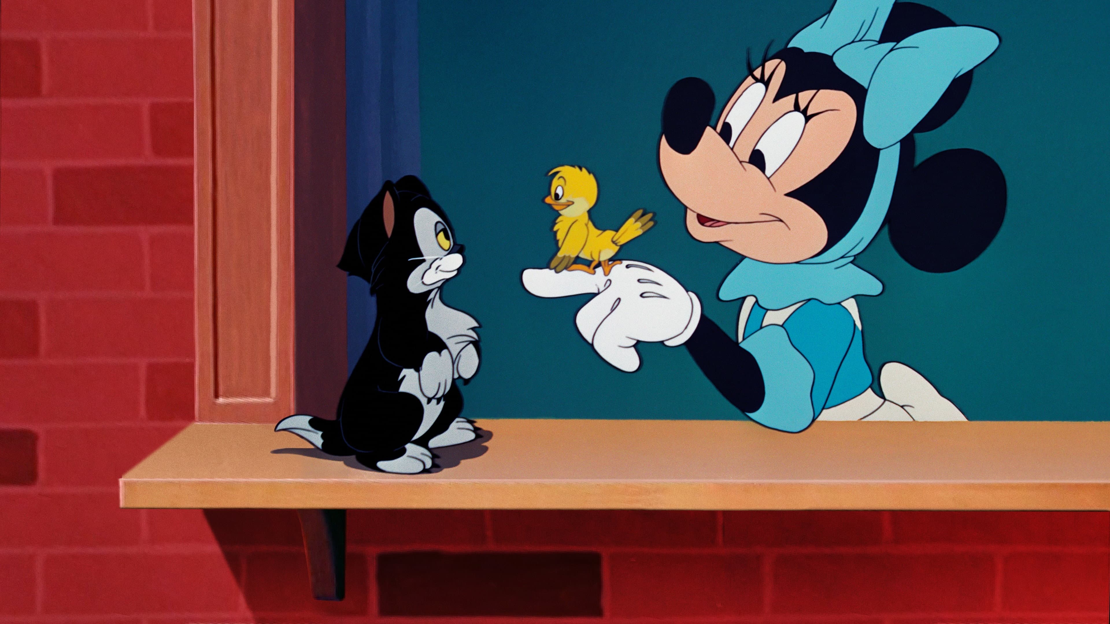 Figaro e Frankie - immagine