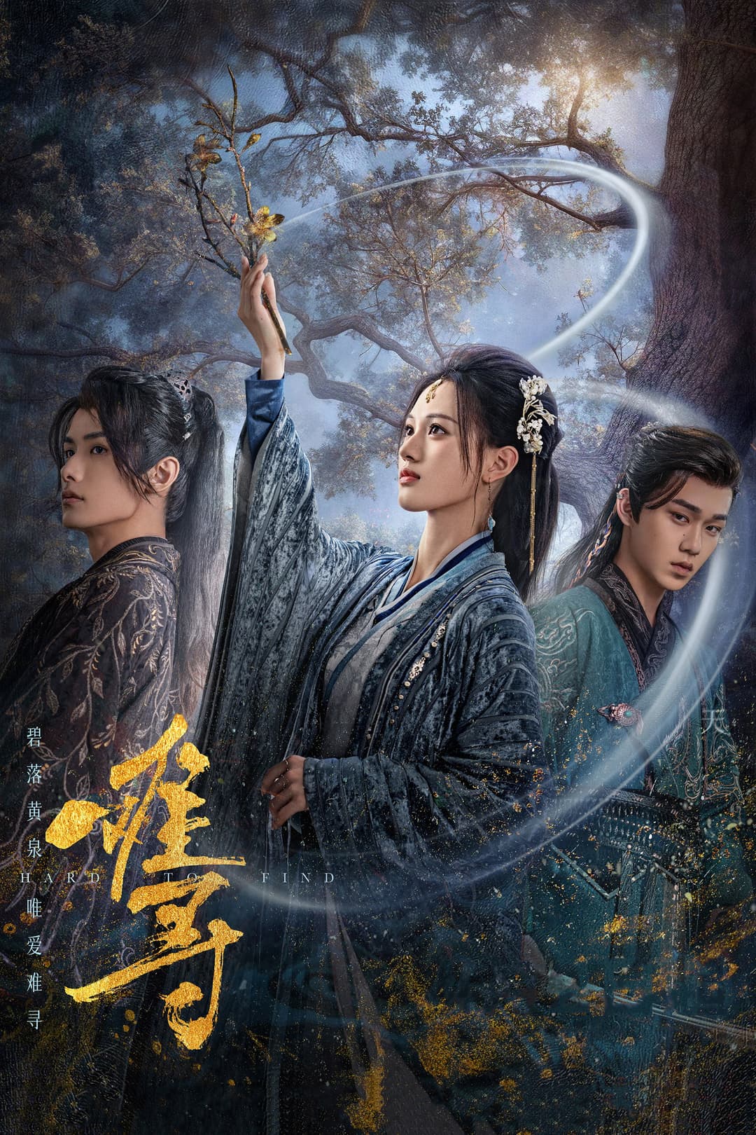 Poster di 难寻