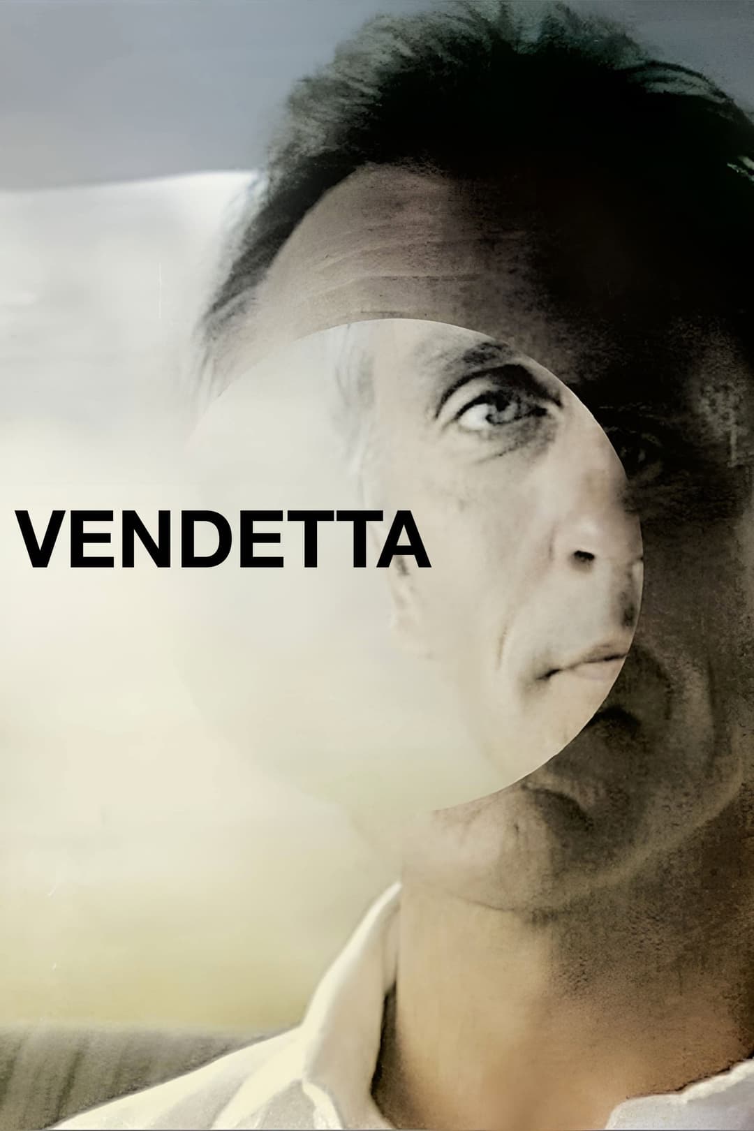 Poster di Vendetta