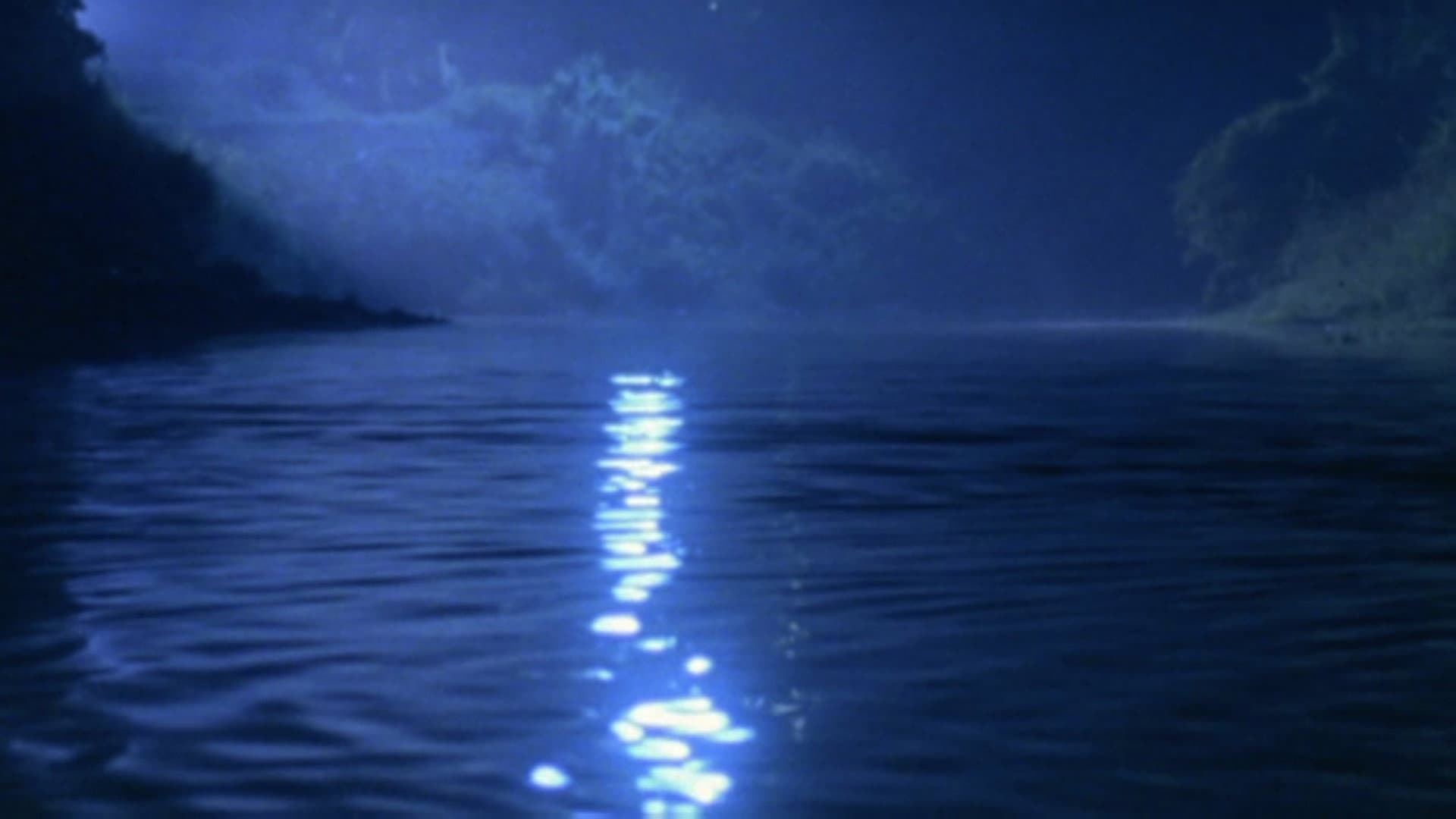 August in the Water - immagine